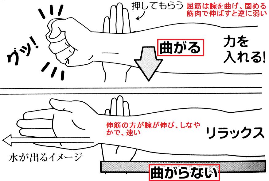 屈筋　伸筋 ７ 小