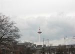 京都たわー