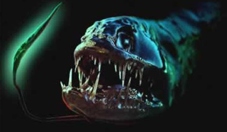 深海魚はとにかく怖い 写真見せるから一緒に怖がってくれい 5 1000冊組手 の巻 占い師いるかの心象風景