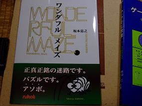 wonderfulmaze_001