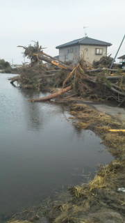 20110314163213.jpg