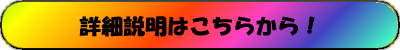 詳細説明