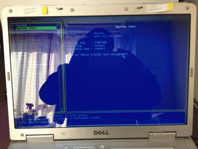 IMG_0073.gif