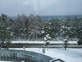 huyumu_002