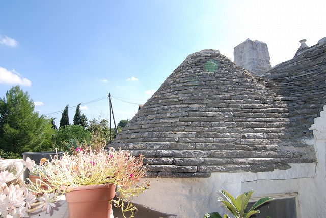 s-DSC_2344.jpg