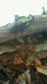 201008051006000.jpg