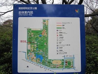 2010年11月25日昭和記念公園4