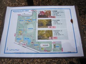 2010年11月25日昭和記念公園28