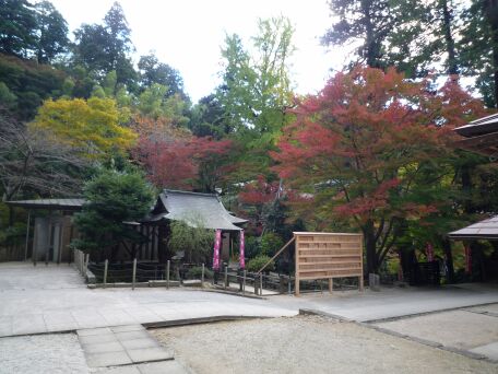 P1030733.jpg