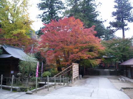 P1030830.jpg