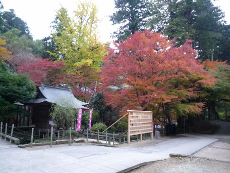 P1030831.jpg