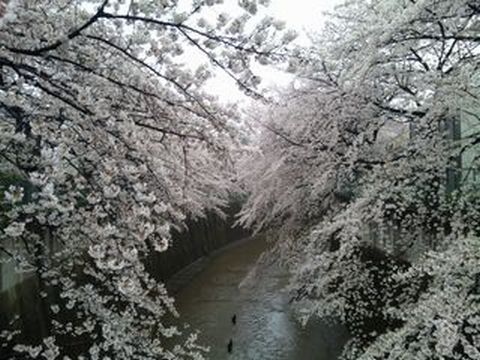 100405_164019.jpg