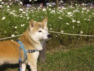20111012_2126555.jpg