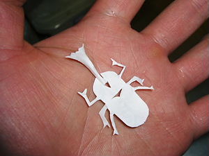 幻のシロカブトッ！