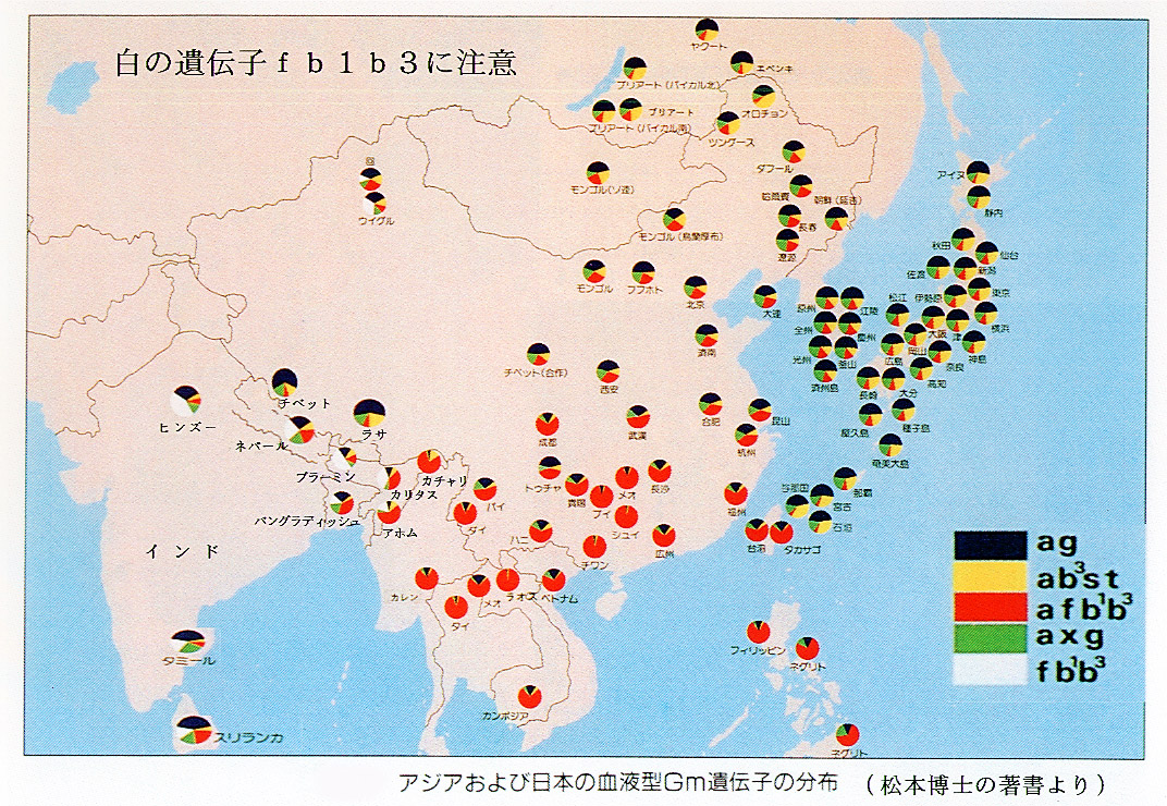 現在の殆どの日本人（沖縄県人やアイヌ人も含む）に最も濃く残っている遺伝子は、土着系（シベリアから来た縄文人）と同じである。