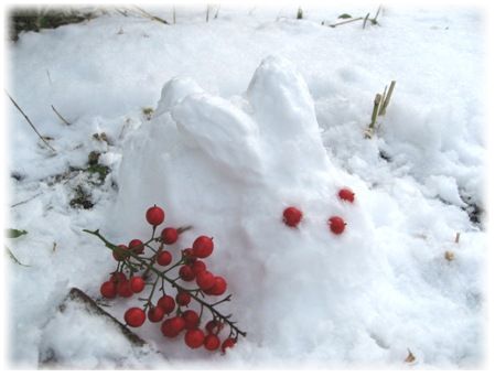 2010１月雪 007