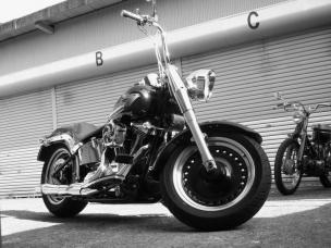 シロクロファットボーイ