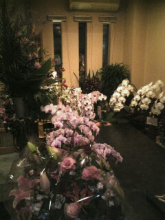 お祝いのしな２