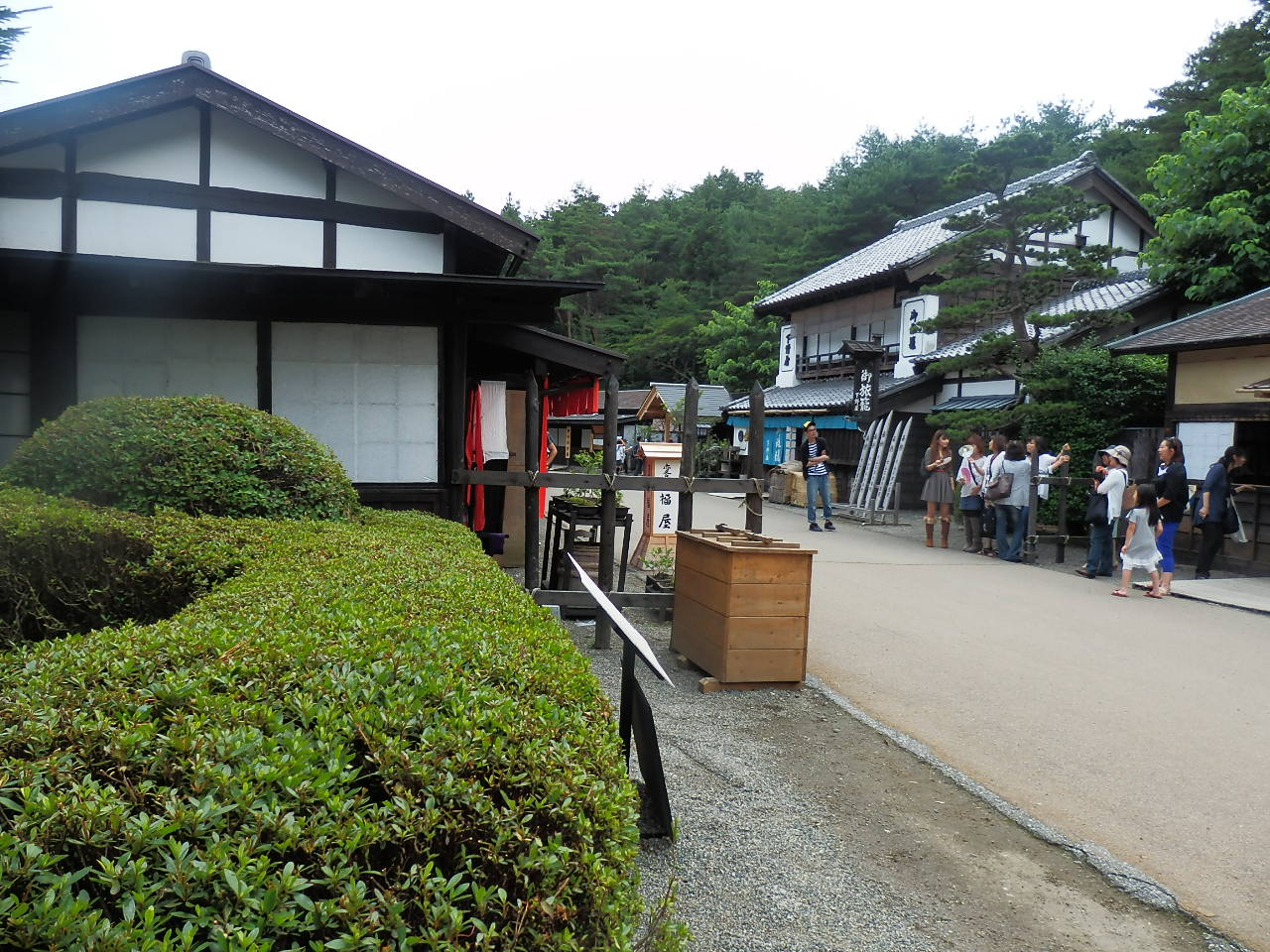 P7100464.jpg