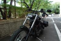 WAVEライト、スリムレバー、ターンシグナルエクステンションレバー取り付け後1