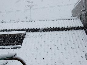 fuyugeshiki200912_001