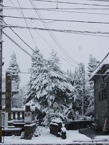 fuyugeshiki200912_002