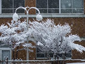 fuyugeshiki200912_004