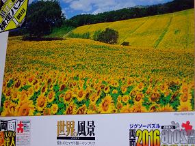jigsaw_SunflowerFieldUmbria_2016_000