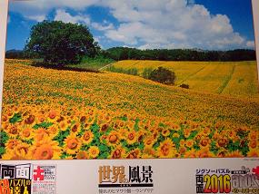 jigsaw_SunflowerFieldUmbria_2016_001