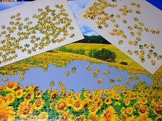 jigsaw_SunflowerFieldUmbria_2016_016