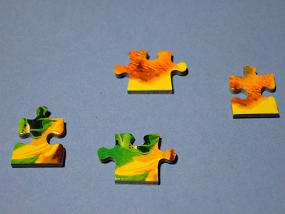 jigsaw_SunflowerFieldUmbria_2016_020