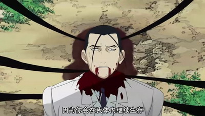[POPGO][Fullmetal_Alchemist][TV_2009][52][GB][RV10]-shot0017