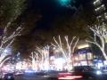 DCF00081s_20111225173808.jpg