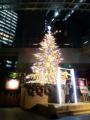 DCF00875s_20111225173903.jpg