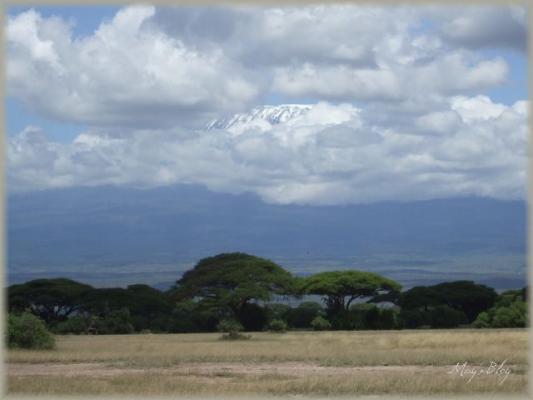 DSCF4735.jpg