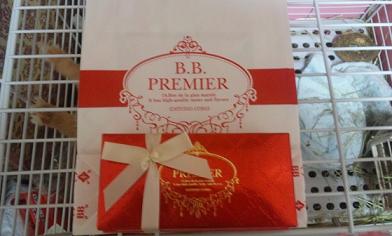DSC_16258.jpg
