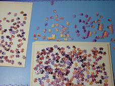 jigsaw_TajMahal_2016_003s
