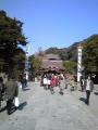 鶴岡八幡宮