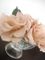 バラをカップに