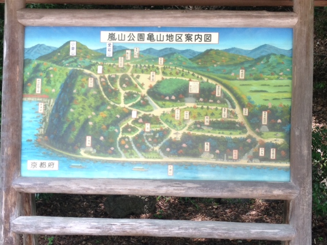 写真 (3)