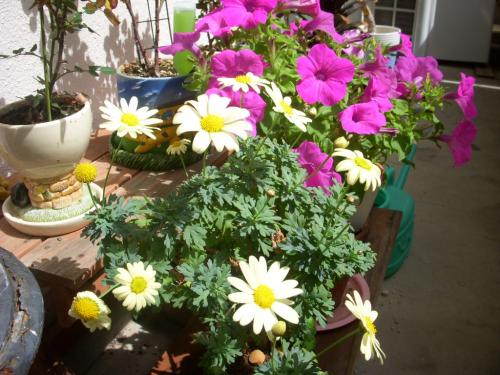 001_convert_20100413202237.jpg