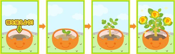 ポイントのなる木 成長過程