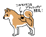 kanmou.jpg
