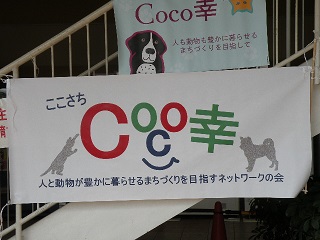 033_20130714182714.jpg