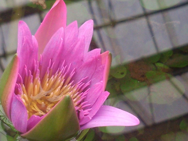 s-DSC_1044.jpg