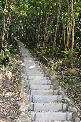 s-DSC_7972.jpg