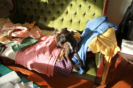 おそうじレポ 週に1回の床拭き編 お洋服の見直し 愛知 名古屋 コンシェルジュplus おおたにさえこのお片付け 整理収納 お掃除 終活 生前整理 遺品整理 日記 おそうじレポ 週に1回の床拭き編 お洋服の見直し 愛知 名古屋 コンシェルジュplus おおたにさえこのお片付け 整理収納 お掃除 終活 生前整理 遺品整理 日記