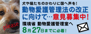 【拡散希望】5年に一度の動物愛護法改正に関して 情報まとめ