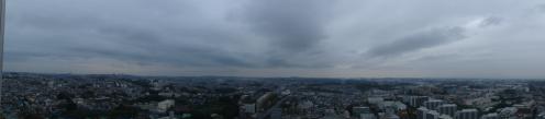 DSC01233-1.jpg