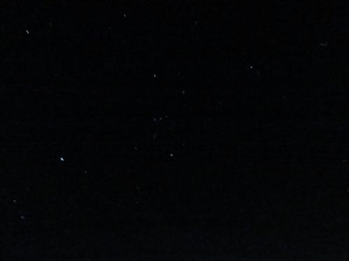 DSC01290-1.jpg